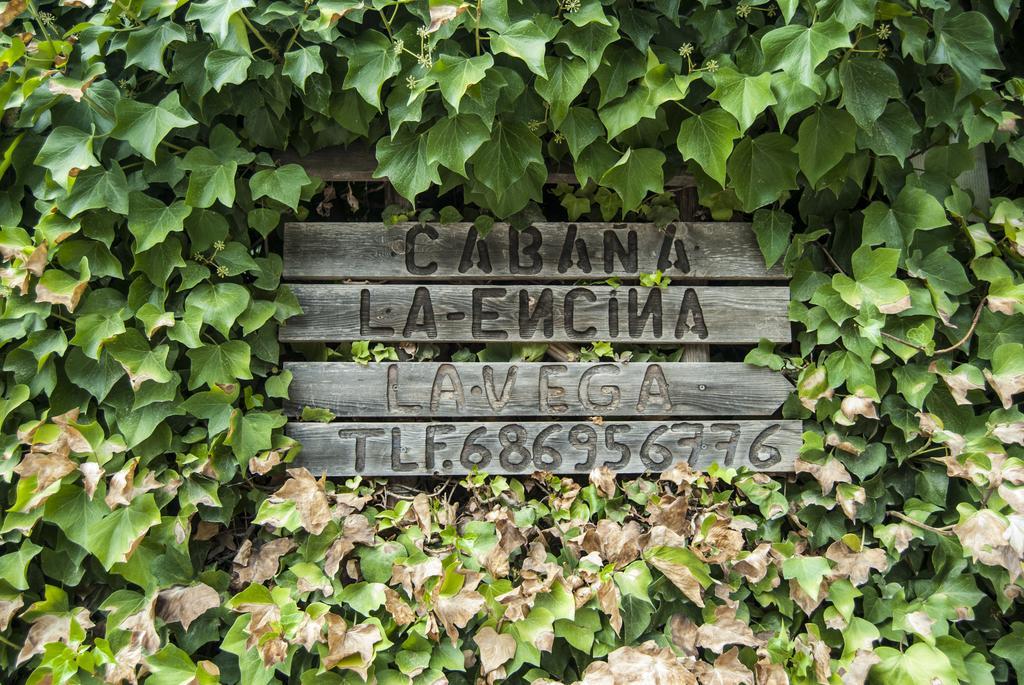 Cabaña de Madera la Encina Burunchel Exterior foto